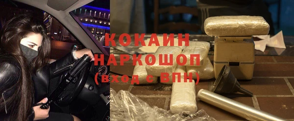 дживик Белокуриха