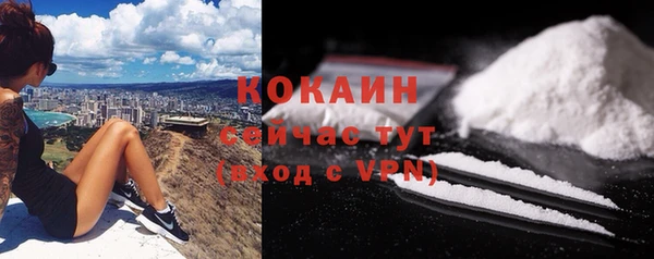 дживик Белокуриха