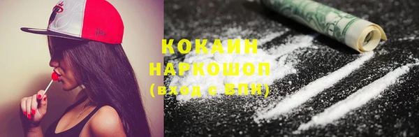 дживик Белокуриха