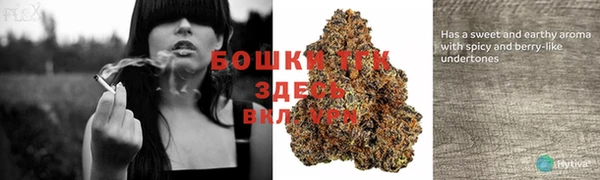 трава Белоозёрский