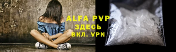 дживик Белокуриха