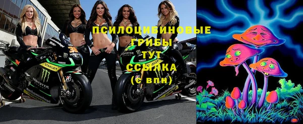 дживик Белокуриха