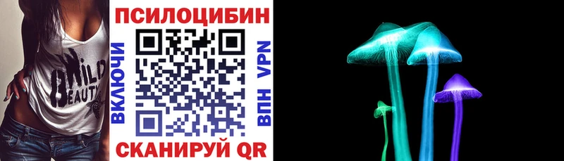 ОМГ ОМГ онион  Высоцк  Псилоцибиновые грибы Magic Shrooms 